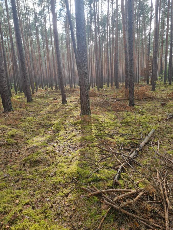 Villa Sloneczny Zakatek Lubrza  Esterno foto